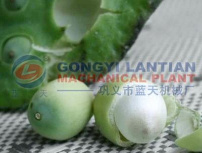 Lotus seed dryer machine