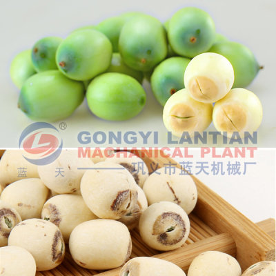 Lotus seed dryer machine