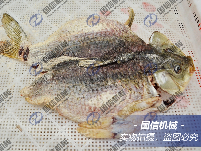 marine fish drying room