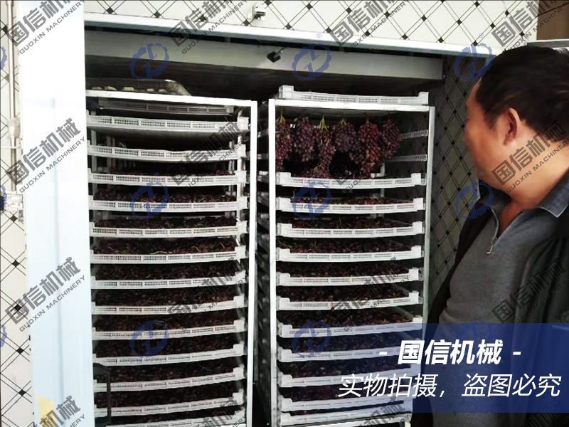Raisin Dryer
