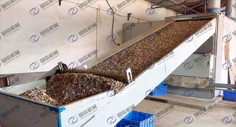 mesh-belt yam dryer