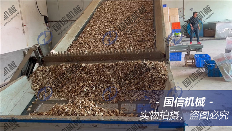 mesh-belt yam dryer