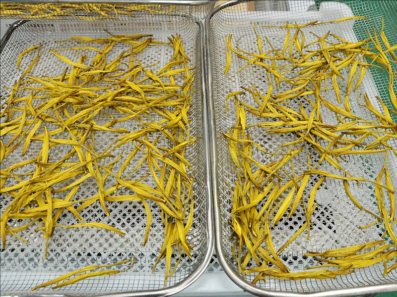 daylily drying machine