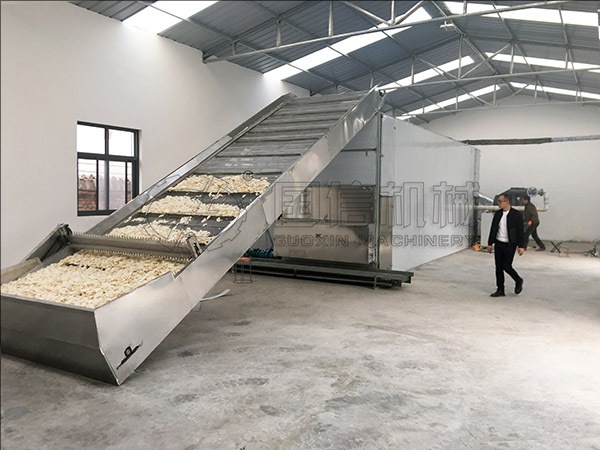 yam slice dryer
