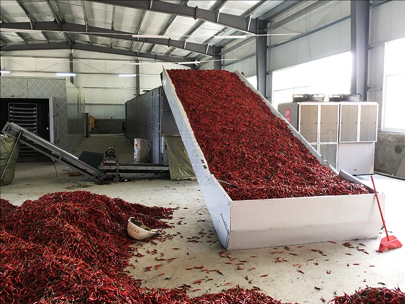 Chilli Dryer