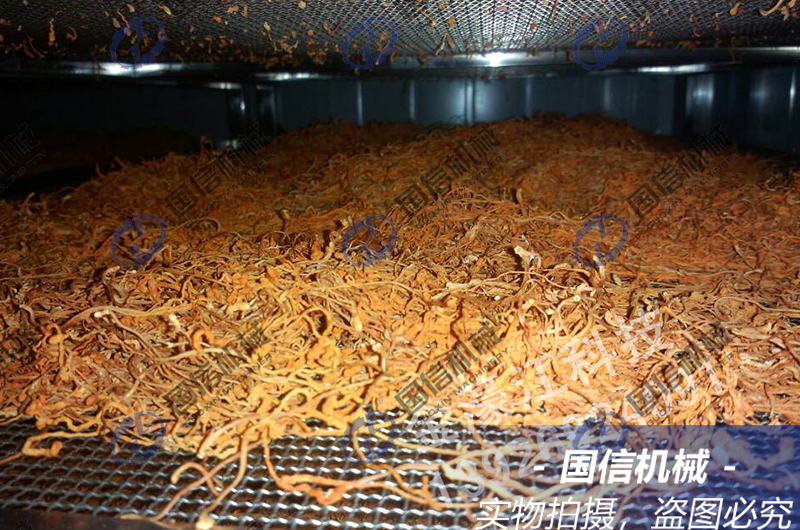 cordyceps flower drying process