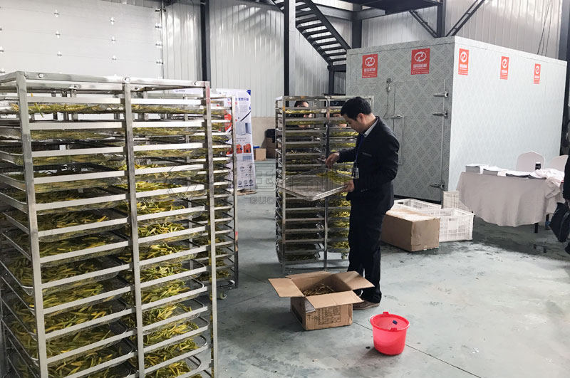 daylily drying equipment