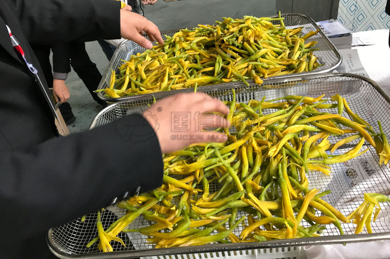 daylily drying equipment