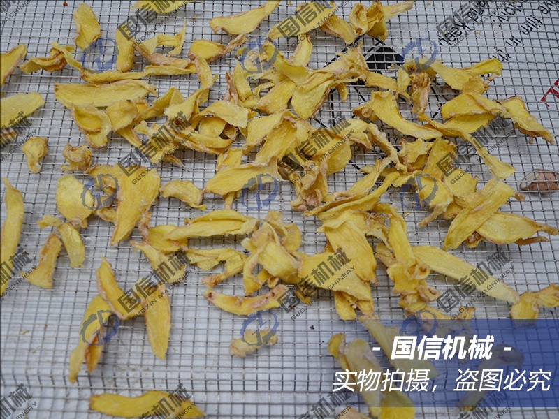 ginger slice dryer machine