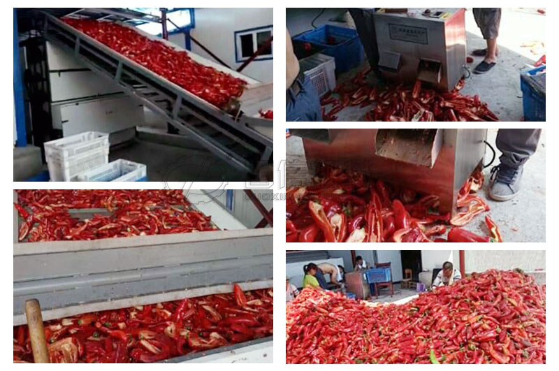 chili pepper drying machine