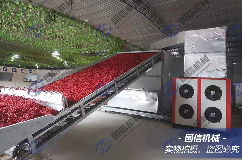 mesh-belt continuous drying equipment