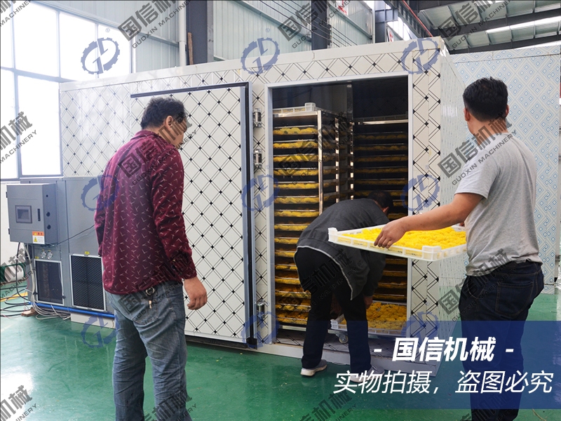 heat pump drying room