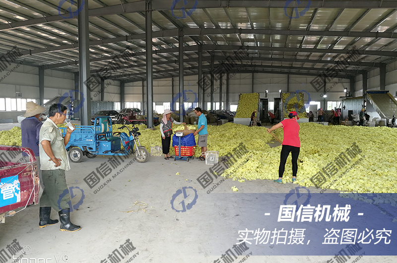 vegetable dryer machine