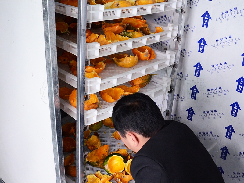 vegetable drying equipment