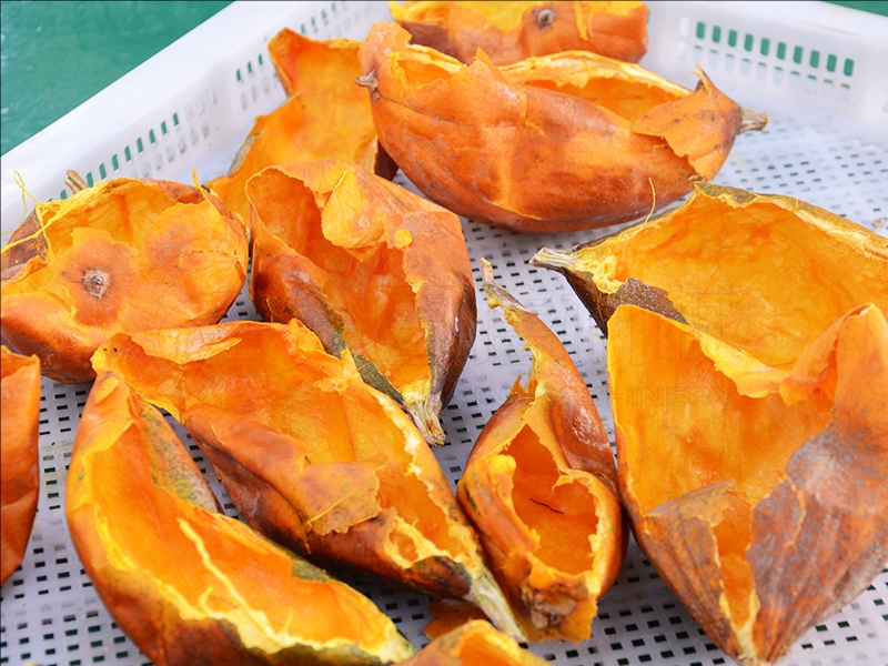 vegetable drying equipment