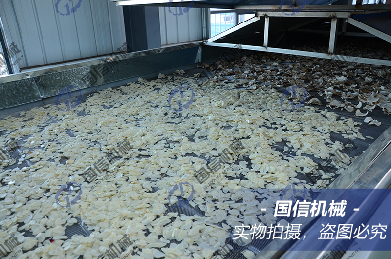 garlic slice mesh belt dryer