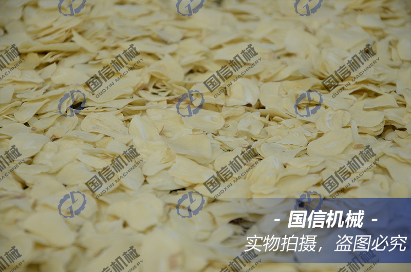 garlic slice mesh belt dryer