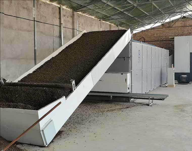 Coffee bean dryer
