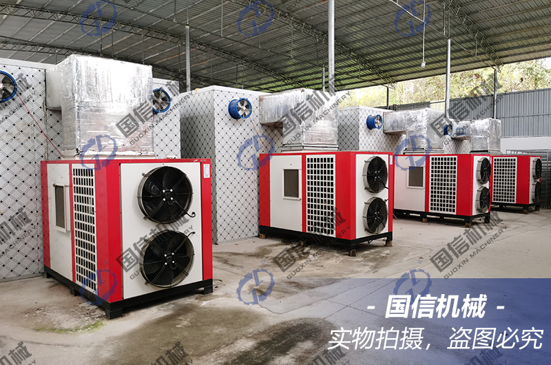 Lingzhi Drying Process