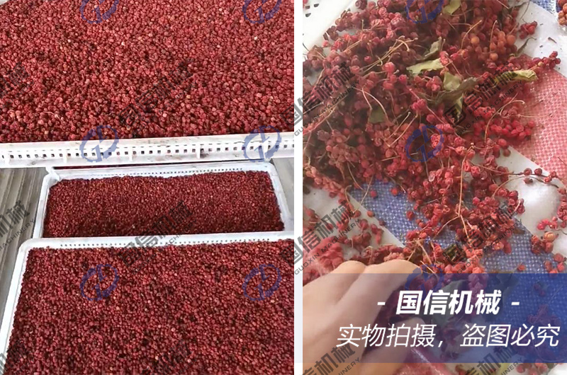 Cornus officinalis Drying Process