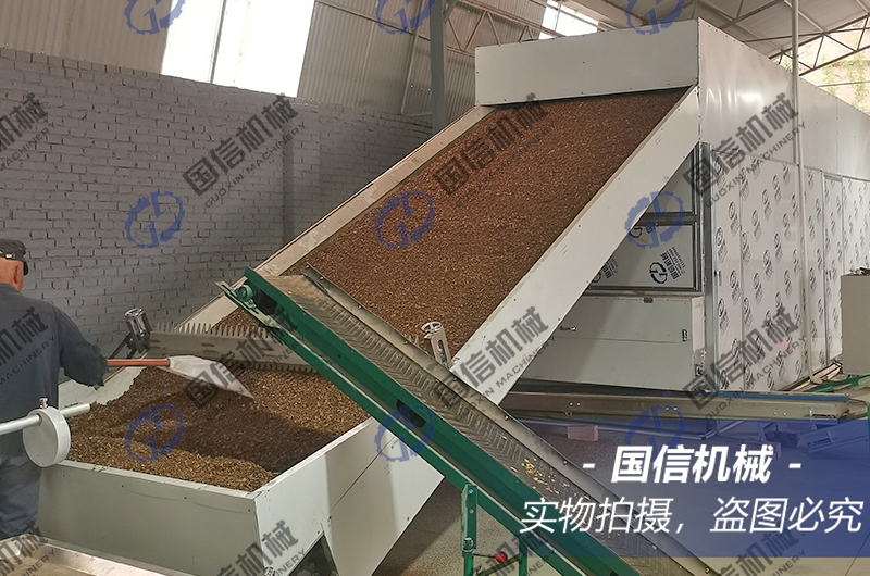 Chinese herbal medicine dryer
