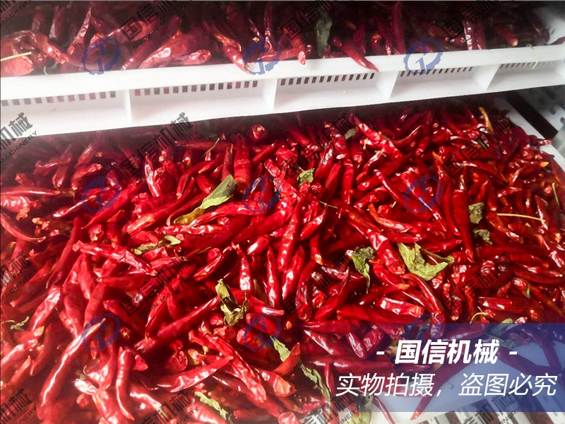 chili dryer