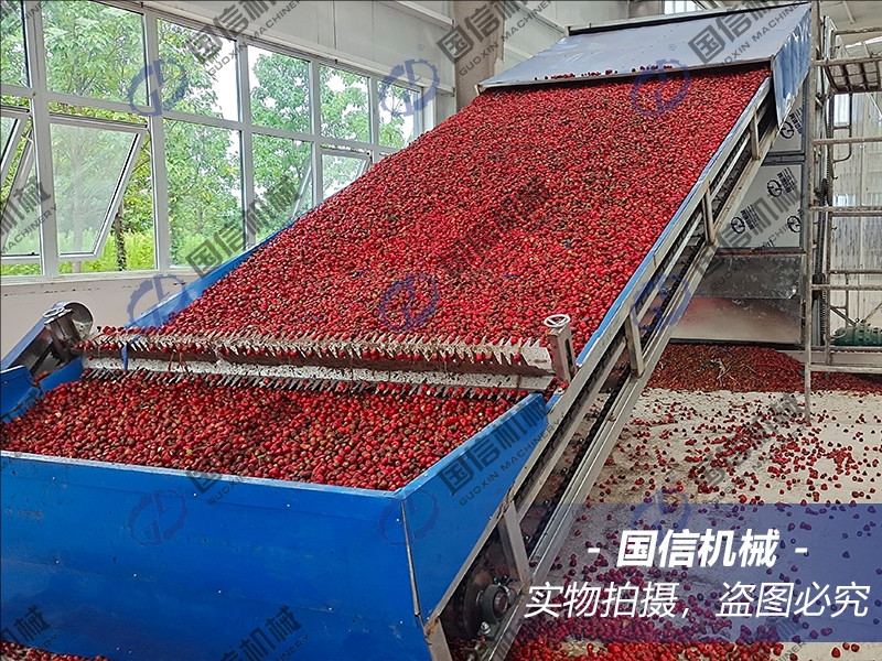 Air-source heat pump chili dryer