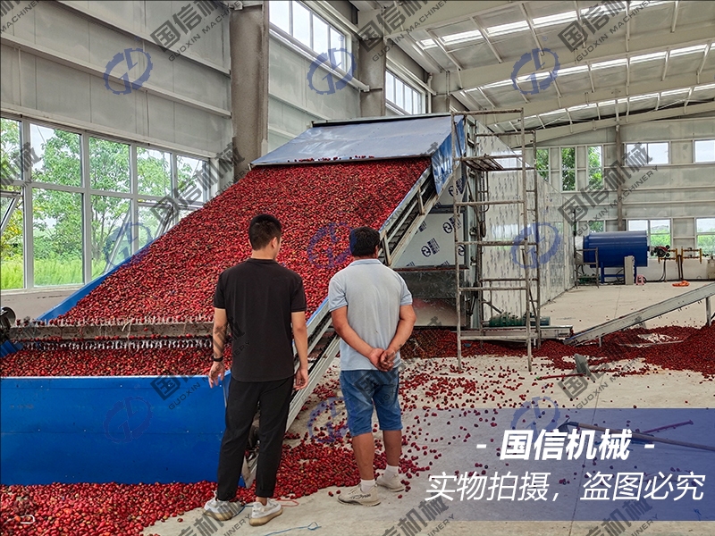 Air-source heat pump chili dryer