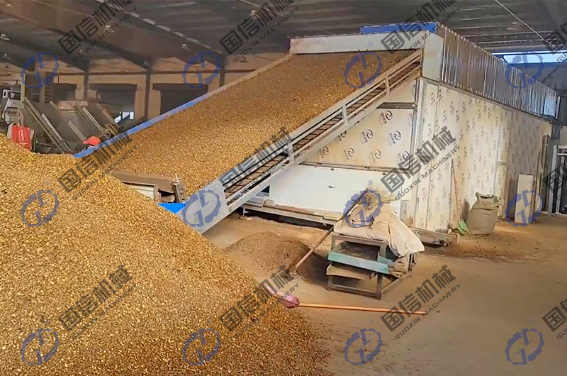 Chinese herbal medicine dryer