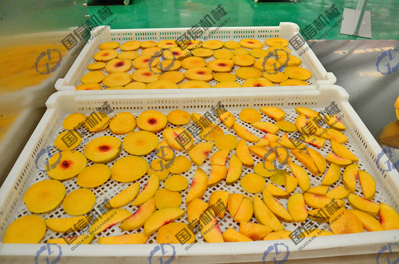 apple dryer machine