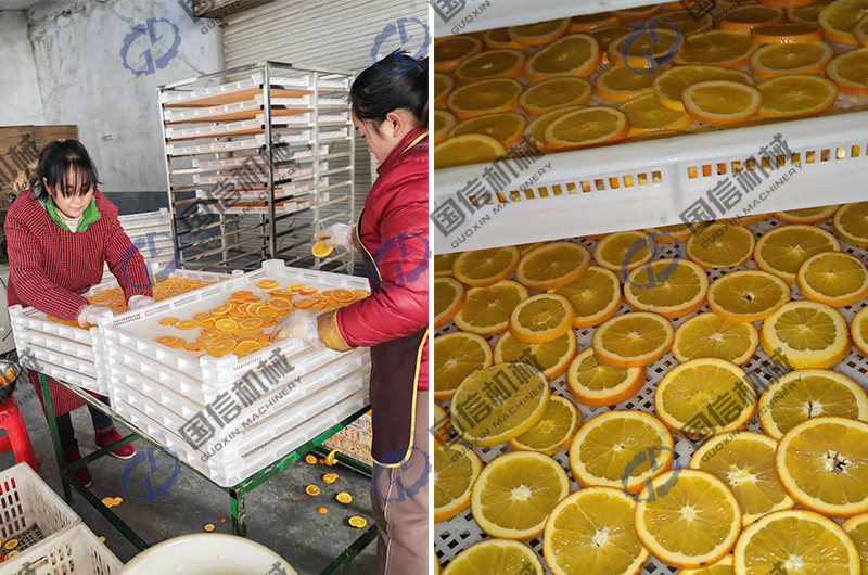 apple dryer machine
