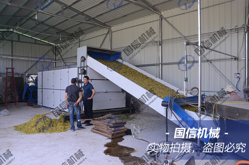Chinese herbal medicine dryer machine